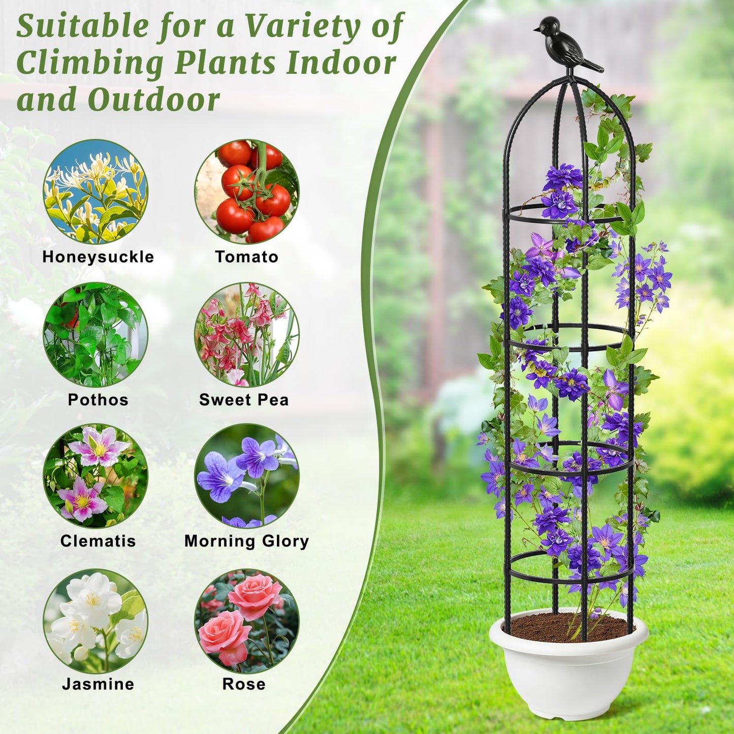 Fabulas Obelisk Trellis for Climbing Plants, 6 Ft Garden Obelisk Trellis Rustproof Plastic Coated Metal Vine Plant Support Cage for Pots, Morning Glory, Clematis, Rose, Indoor and Outdoor Use, 1 Pack
