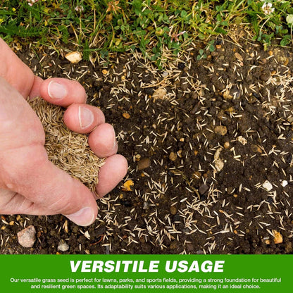 GroundMaster Premium Lawn Grass Seed – 1KG Hard Wearing & Fast Germination Grass Seeds for Family Lawns and Gardens, Coverage up to 60M2 for Overseeding, Tough Lawn Seed Mixture, Pet-Friendly