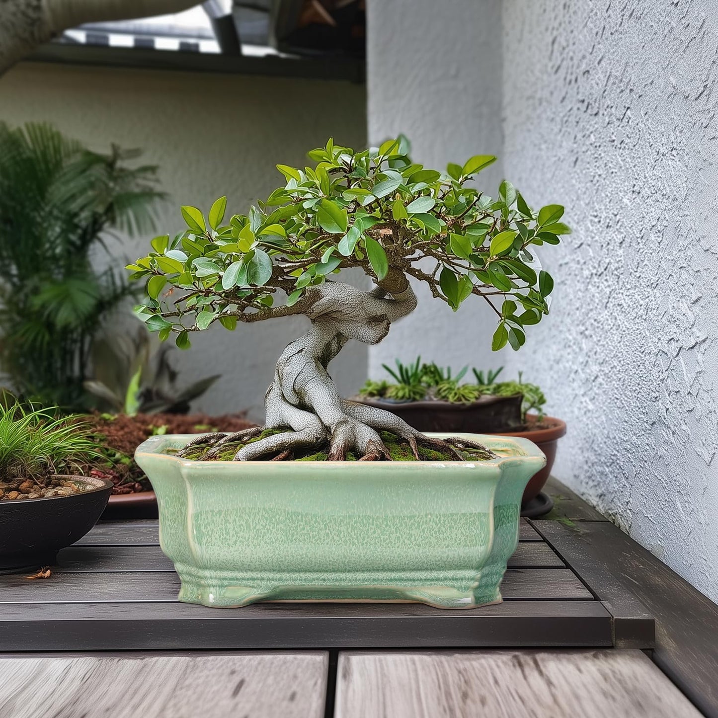 Teagas Bonsai Pots - 13.7 Inch Rectangle Ceramic Pots for Plants, Large Succulent Planter with Drainage Hole, Decorative Planters for Indoor Outdoor, Garden House Decor, Housewarming Gifts, Green