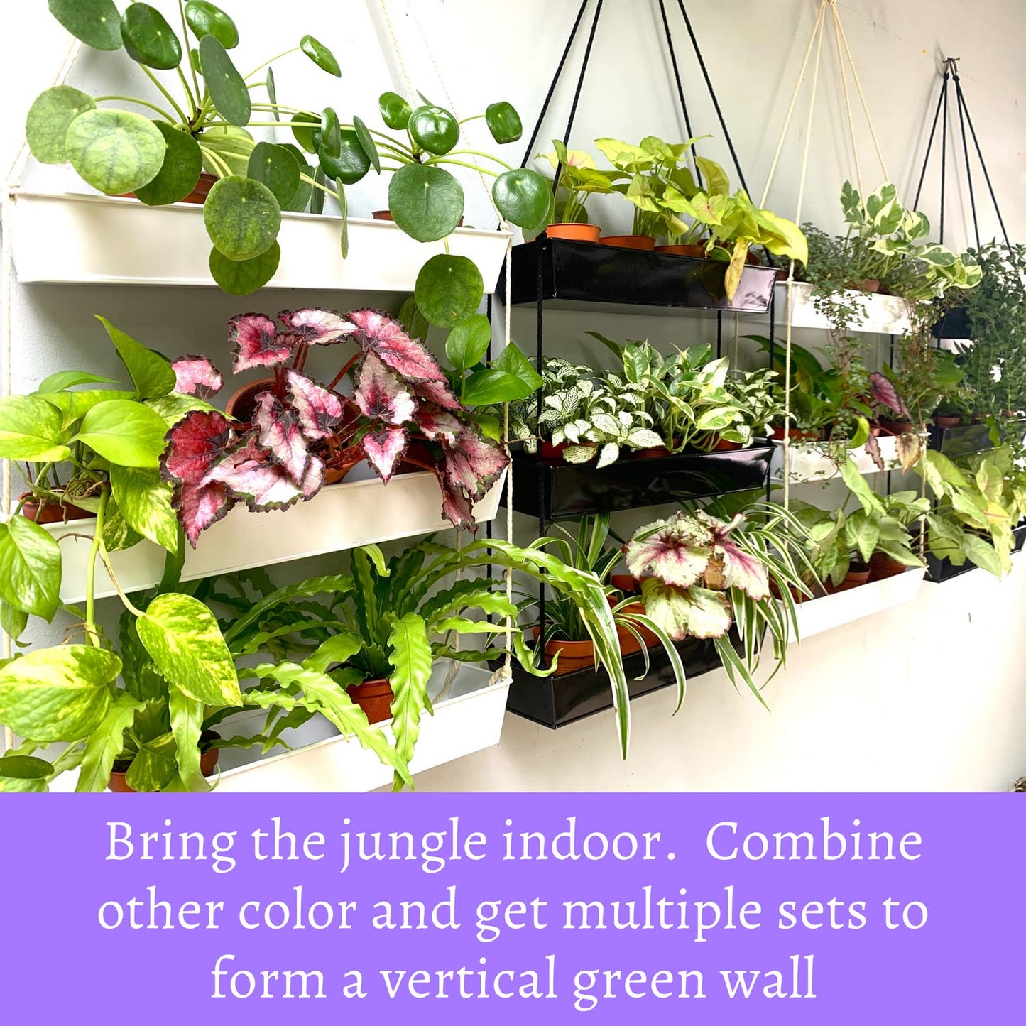 LaLaGreen Wall Hanging Planter - 16 Inch Indoor Wall Planters, 3 Tier Succulent Planters, Metal Silver Window Herb Garden Rectangle Hanging Vertical Plant Pot