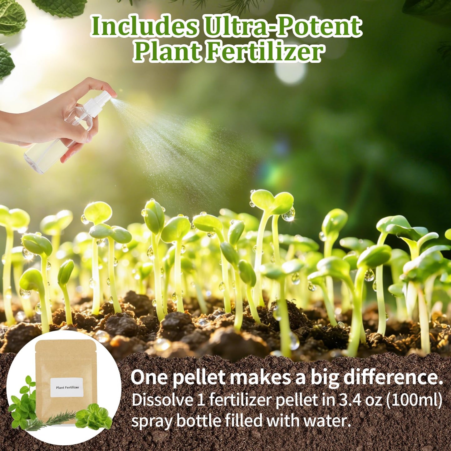 Herb Indoor Window Garden Kit - House Plants Seeds - Best Unique Christmas Gift Ideas for Women, Friend, Birthday, Housewarming, Mother, Beginner DIY Craft & Hobby Gardening Gift for Plant Lovers