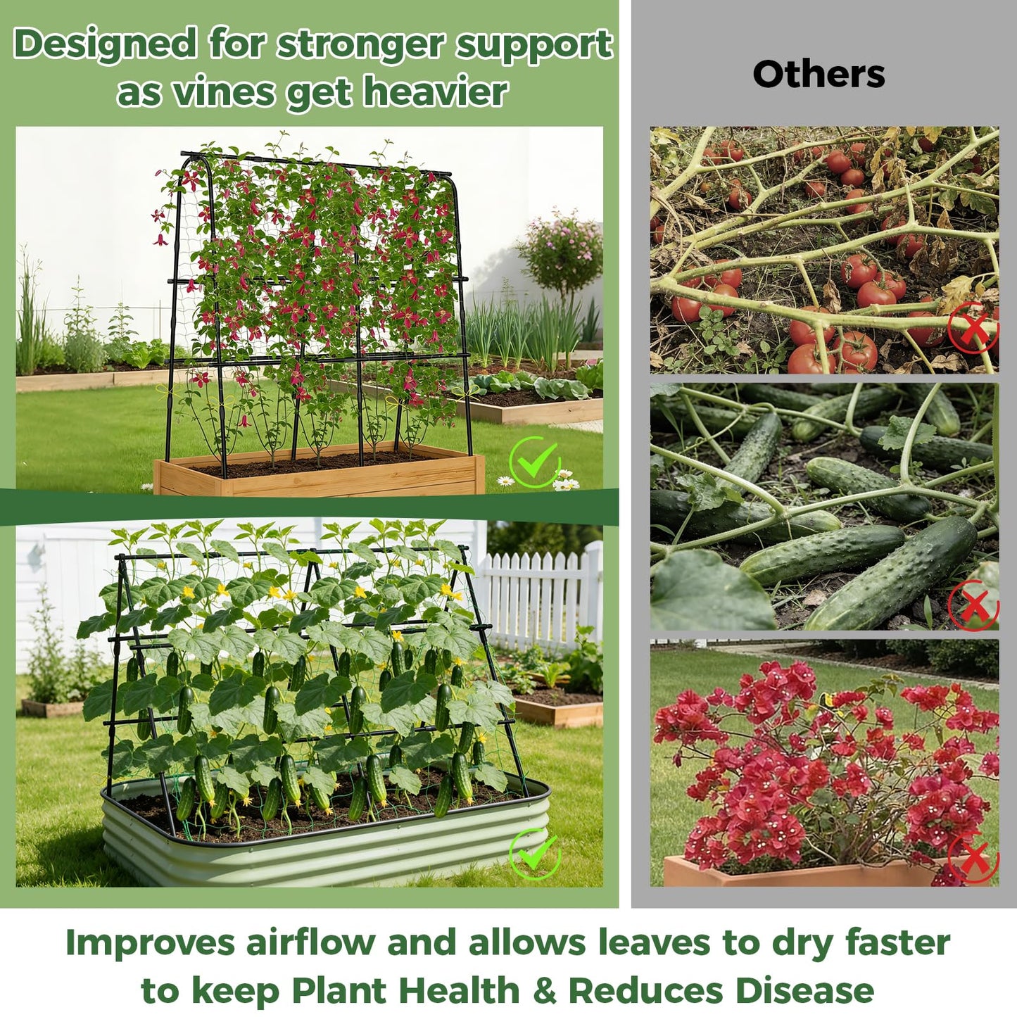 Cucumber Trellis for Raised Bed, 62"x62"U-Shape Garden Trellis for Climbing Plants Outdoor, Metal Arch Plant Support with Netting for Cucumbers, Beans, Tomatoes & Climbing Vegetables