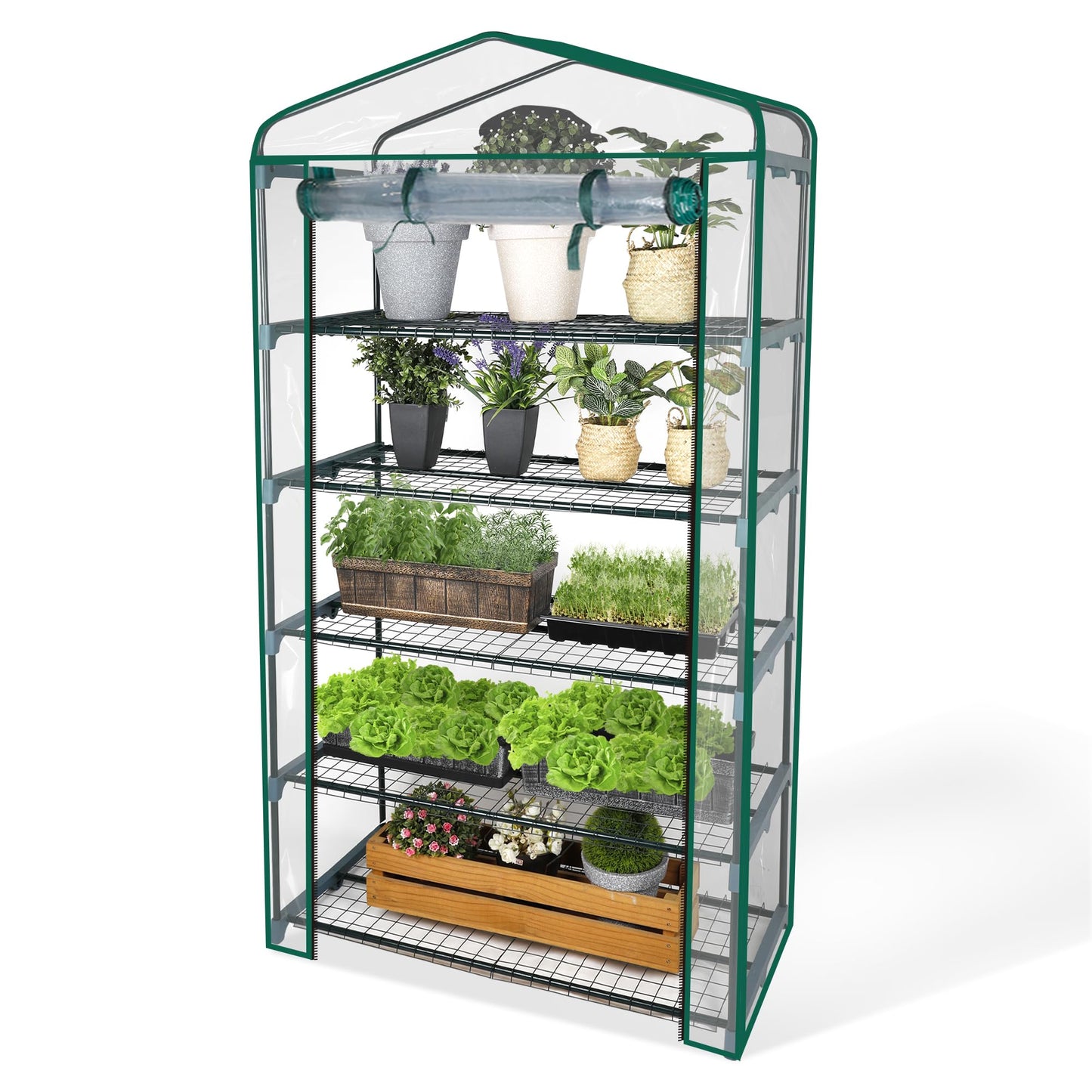 Greens Word Small Greenhouse for Outdoors, Indoor Mini Greenhouse with Plastic Cover, Portable 5 Tier Plant Shelves, Green Houses for Outside Backyard, Winter Plants Warmer, Green, 19″x40″x75″