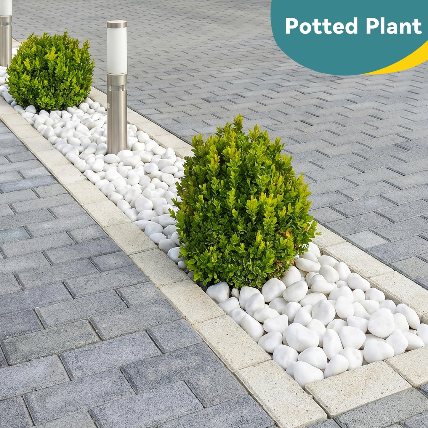 Rahato 20lbs White Rocks for Landscaping, 2-3 inch Decorative Rocks for Plants Indoor, Large Polished River Rocks for Garden, Outdoor Landscaping, Walkways, Yard, Plants Pots, Vases, Crafts