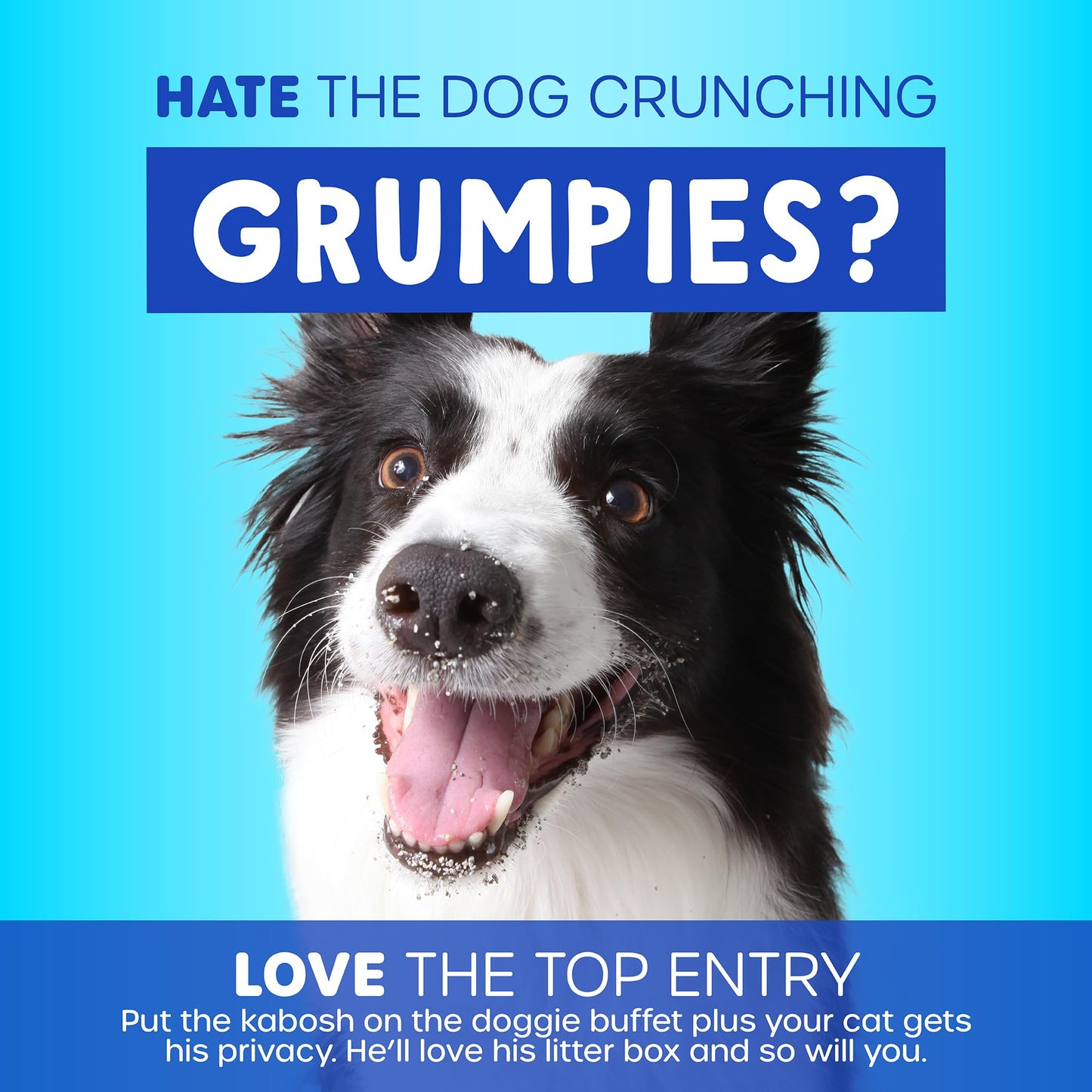 Petmate Enclosed Cat Litter Boxes - Top Entry Cat Litter Box Enclosure with Filter Lid, Made in USA