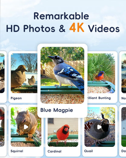 WingHome Bird Feeder with Camera, 32MP Photos & 4K Video with Live View, 5GHz/2.4GHz WiFi, AI Identify Birds Species and Instant Arrival Alerts for Bird Lovers