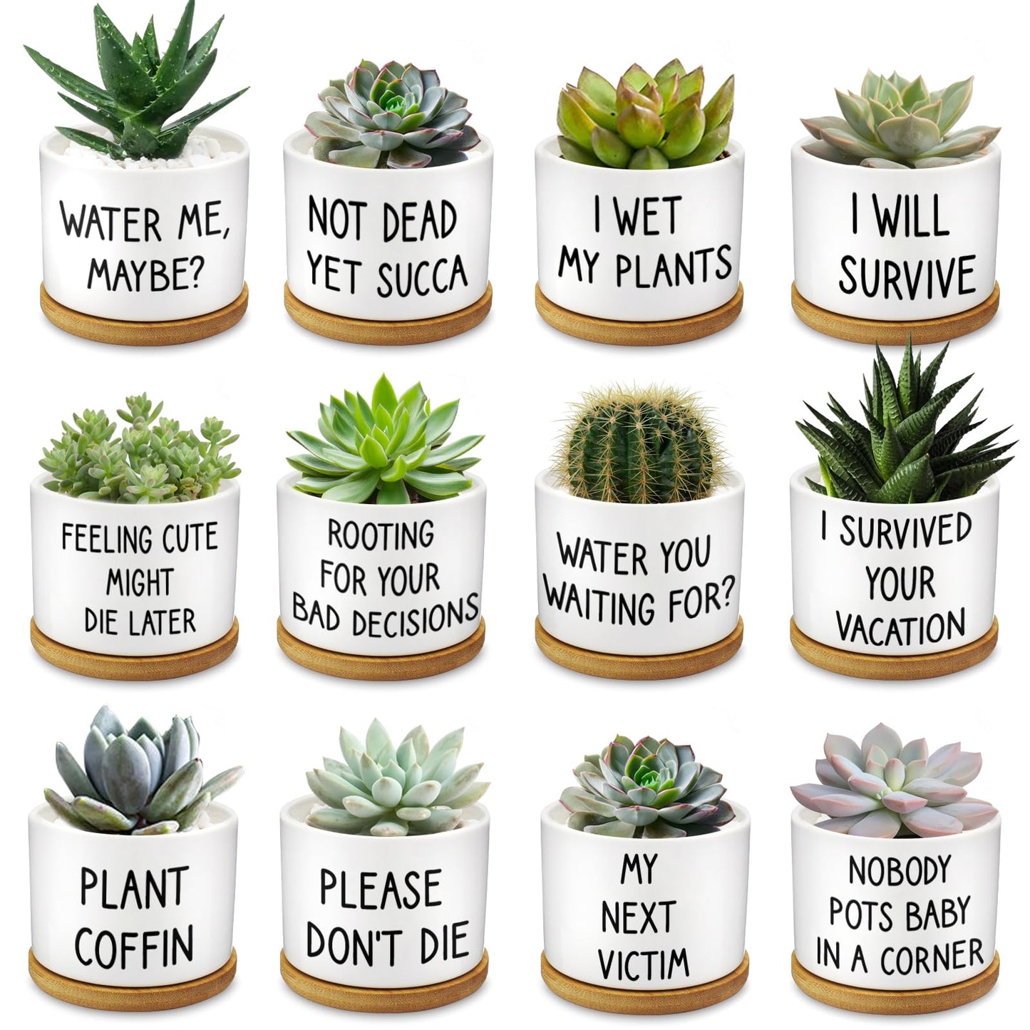 Rojuna 12 Pcs Funny Succulent Pots with Bamboo Tray White Ceramic Aloe Cactus Plant Pots Funny Plant Pots for Women Coworker Employee