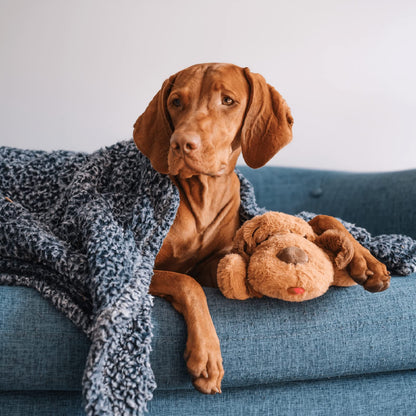 Original Snuggle Puppy Toy, Heartbeat Toy for Puppy, Dog Toys for Anxiety Relief, Calming Aid, Dog Heartbeat Toys for Behavioral Training in Biscuit