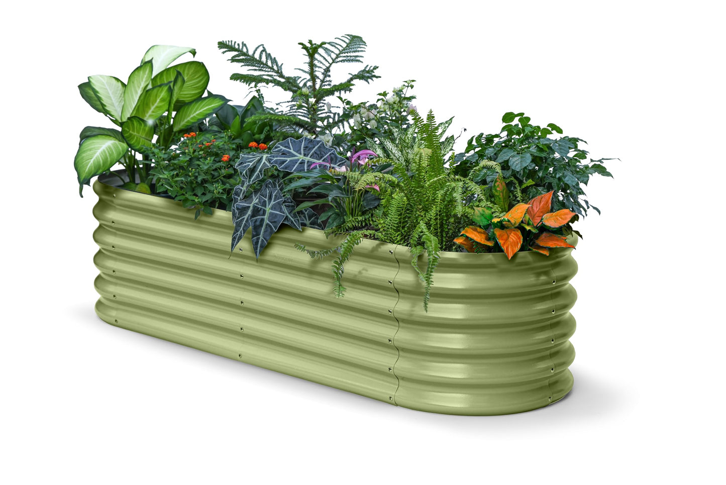 Annoell 6x2x1.5 ft Galvanized Raised Garden Bed, 18" Tall Metal Raised Planters for Outdoor Plants, Vegetables, Herbs, Above Ground Raised Garden Bed Kit for Small Space Gardening - Moss Green