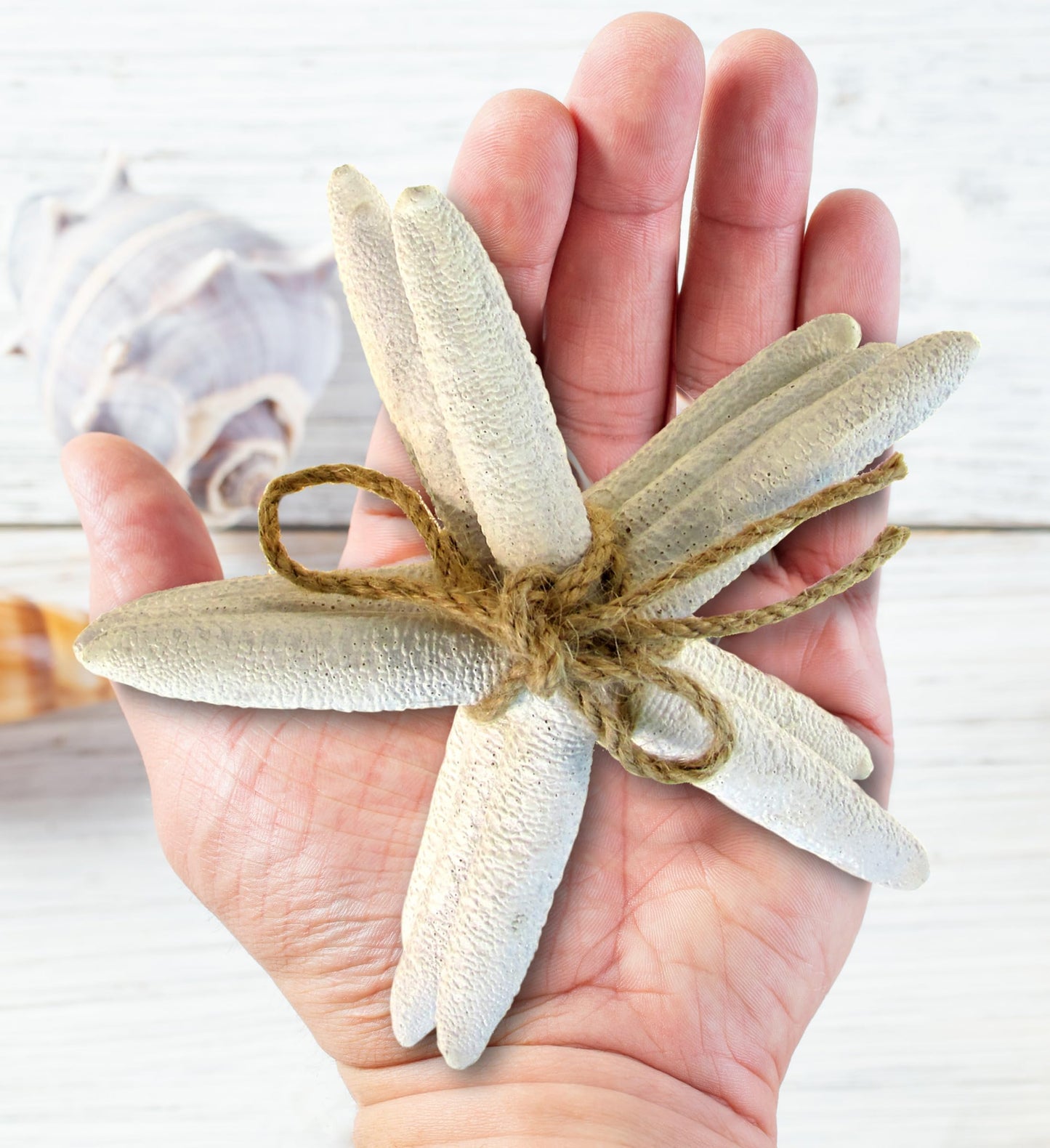 Puzzled Nautical White Starfish Set - Decorative Beach Style Tabletop Centerpiece, Realistic Resin Sea Coral Reef Starfishes for Ocean Themed Home Accent Decor - 3 Pieces