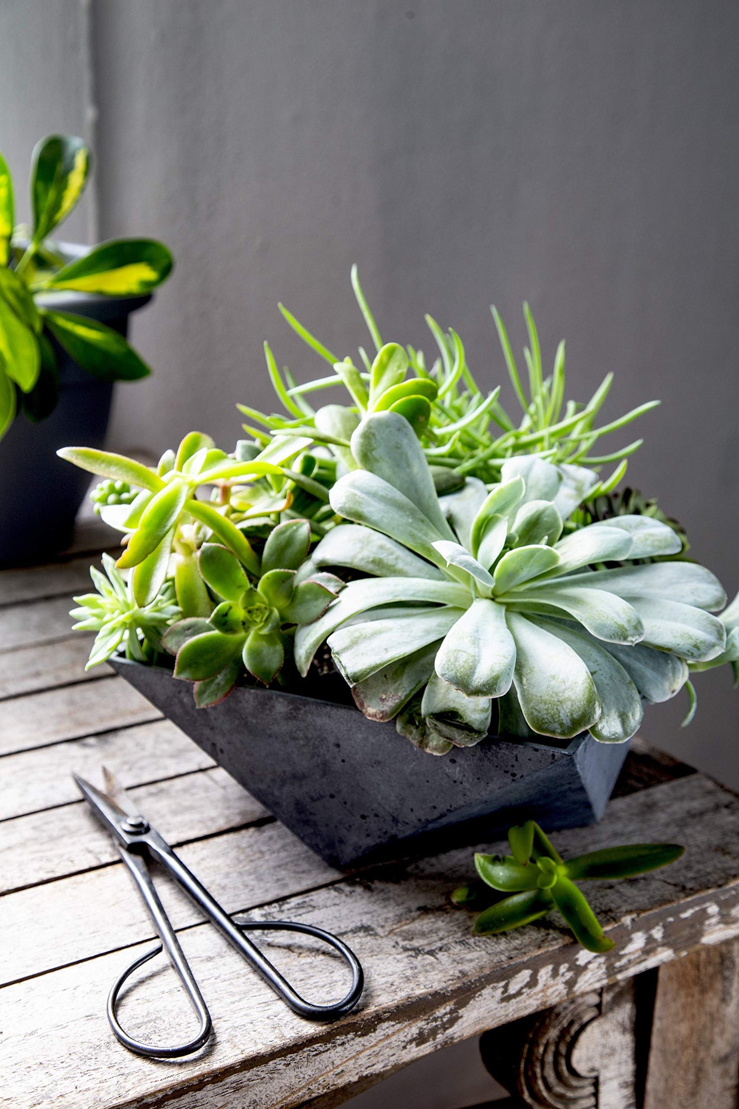 The HC Companies 6 Inch Deco Faceted Plastic Succulent Bowl - Unique Decorative Indoor Planter with Drainage Hole, Faux Concrete (Pack of 2)