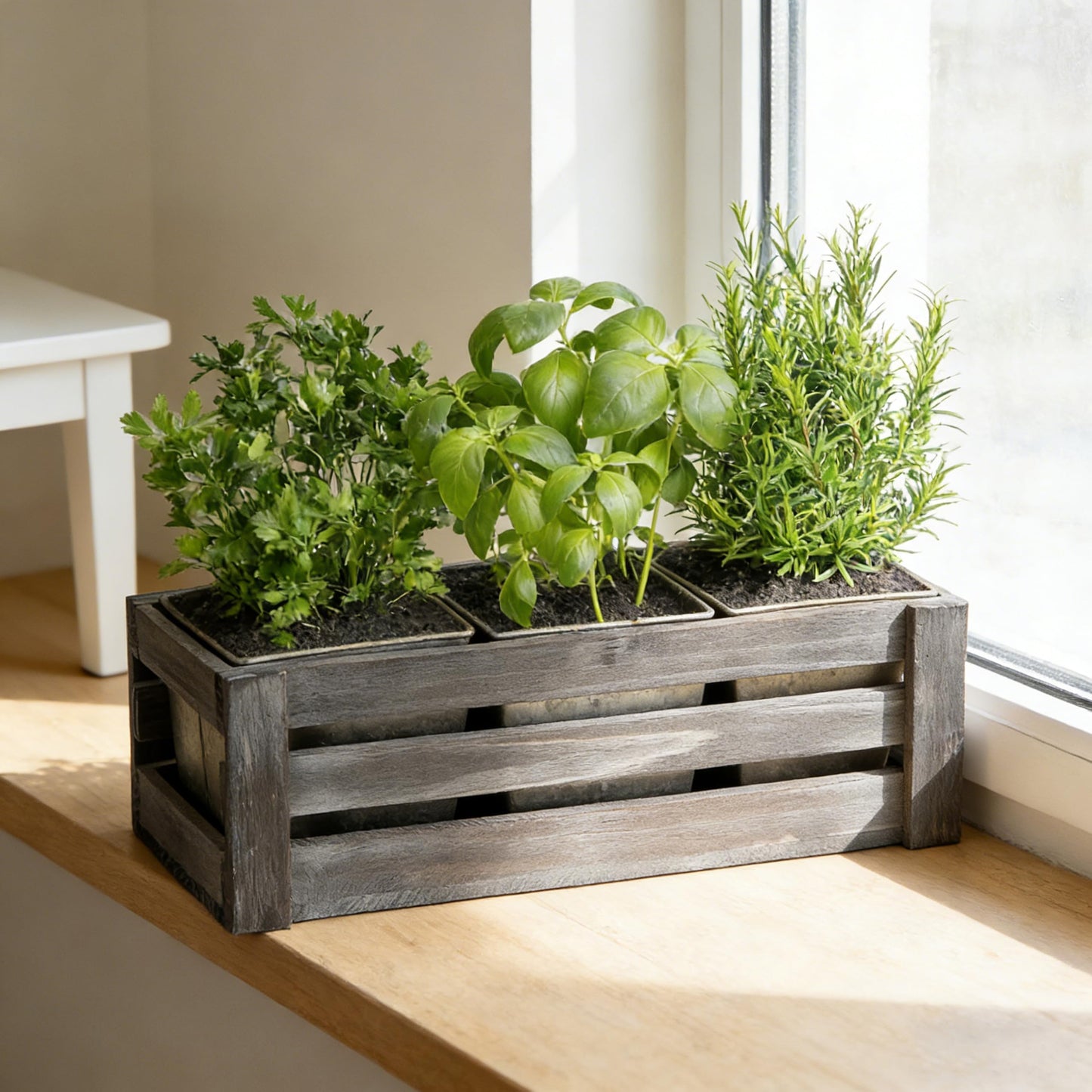SOFE Rustic Wood Planer Box with 3 Galvanized Planter Pot, Indoor Windowsill Herb Garden Organizer, Plant Containers for Flower Succulent, Distressed Gray Finish