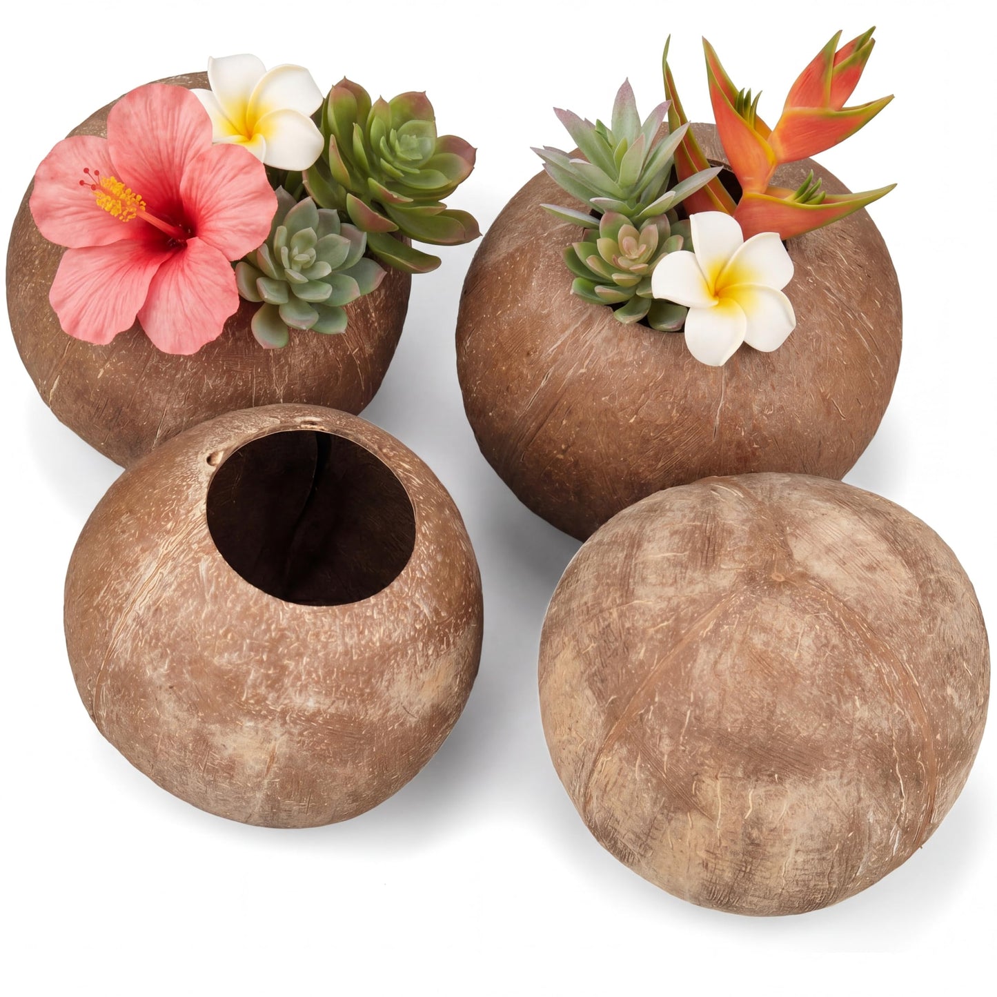 LemonRoad 4 Pcs Natural Coconut Shell Coconut Shell Bowls for DIY Crafts Deep Organic Coconuts Gift for Bird Nest Feeder Desktop Vases Crafts Festive Summer Tropical Luau Party(Without Fiber)