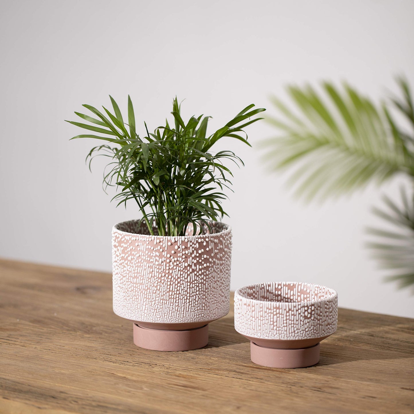 UBEE Planter Ceramic Flower Pot for Indoor Plants | 5.5 inch + 4.9 inch Plant Pot with Saucer and Drainage Hole for Aloe, Snake Plants, Pothos, Orchid, Terracotta with White Glaze Dot