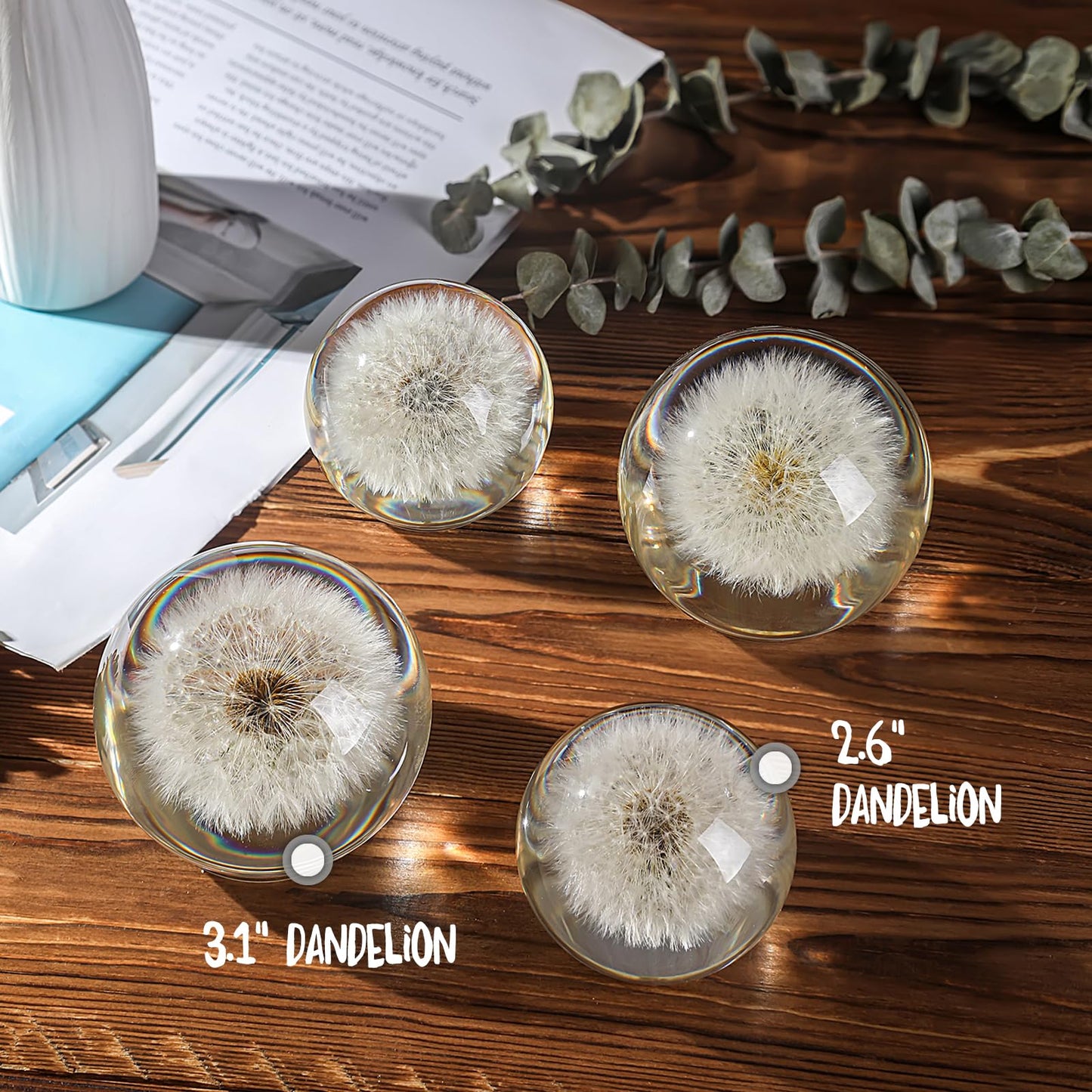 1st Heaven Dandelion Paperweight in Crystal – Real Preserved Dandelion, Symbol of Hope, Luck, or New Beginnings – Elegant Gift with Gift Box & Card (2.6 in)