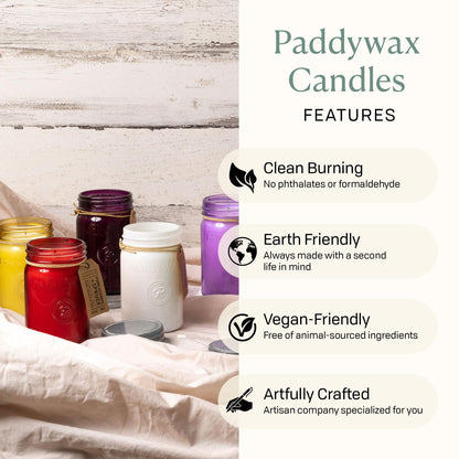 Paddywax Scented Candles Relish Collection Soy Wax Artisan Candle in Glass Jar with Lid, 9.5-Ounce, Fresh Meyer Lemon