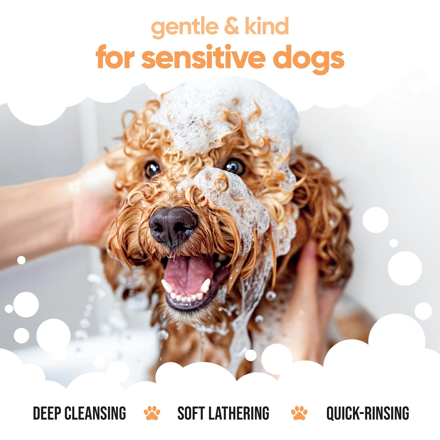 Flea & Tick Dog Shampoo by Buddycare (500ml) Effective Flea Shampoo for Dogs to Help Eliminate Fleas & Ticks Itchy & Sensitive Skin Relief Flea Treatment for Dogs Cleans & Soothes Skin