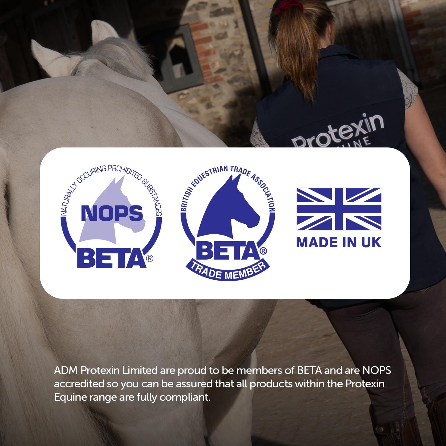 Protexin Equine Horse & Pony Gut Balancer, 700g, Advanced Digestive Support