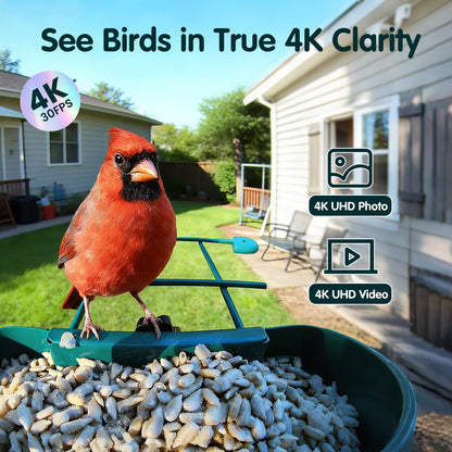 Humbirdy Bird Feeder with Camera, 4K Ultra HD Video with 30fps Live View, 10x Slow Motion, No Subscription, Solar Powered AI Smart Bird Feeder with Camera, 2.4G/5G Wi-Fi, Durable Metal,Bird Lover Gift