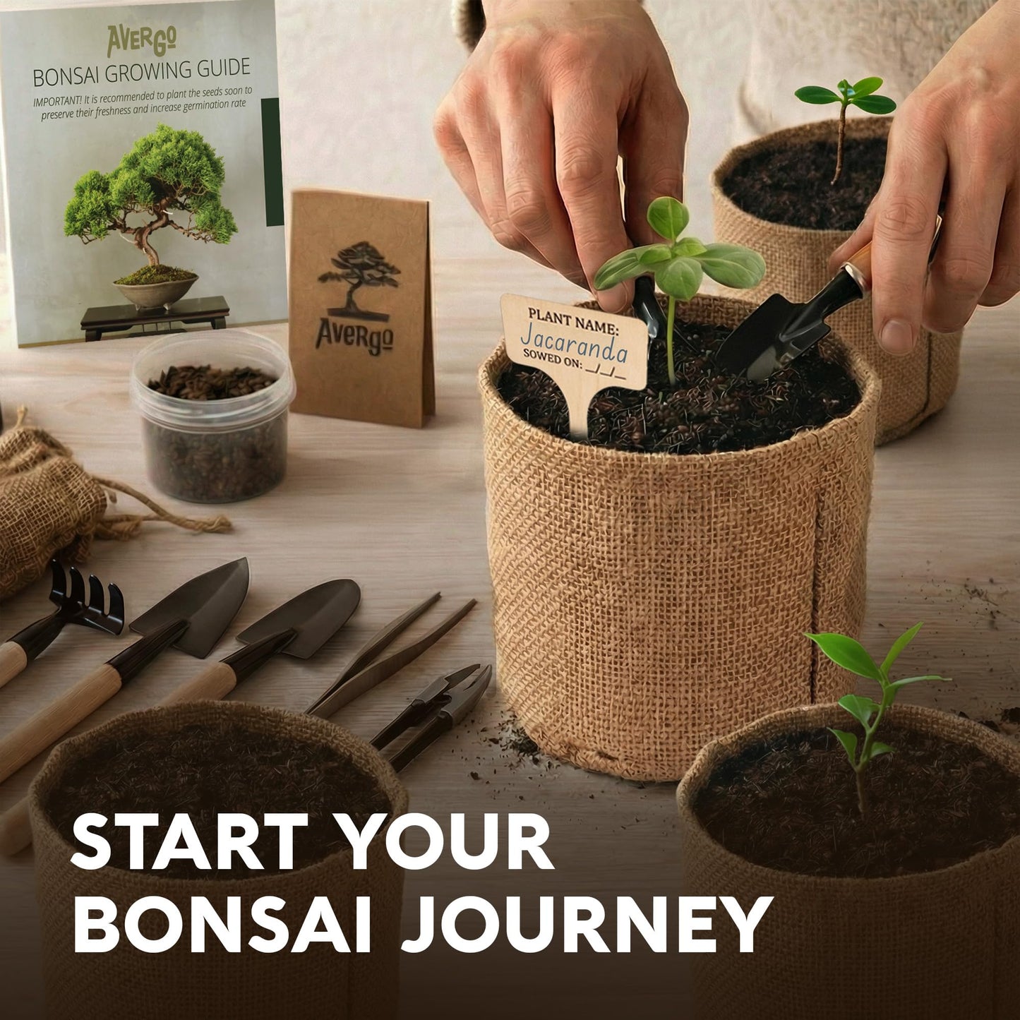 AVERGO Bonsai Tree Kit Deluxe - 5X Unique Japanese Bonzai Trees | Complete Indoor Bonsai Starter Kits from Seeds to Trees – DIY Gardening Gifts for Mother's Day, Women & Men