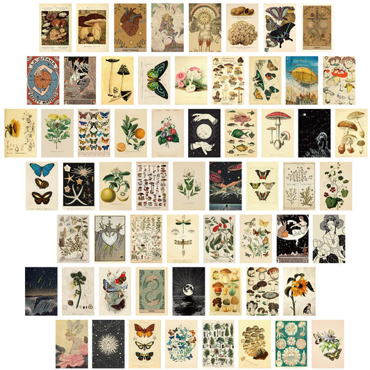 Containlol 60 Pcs Vintage Wall Collage Kit Maximalist Paintings Art Prints Botanical Illustration Tarot Aesthetic Vintage Prints Cards Photo Wall Collection Aesthetic Collage Dorm Bedroom Decor