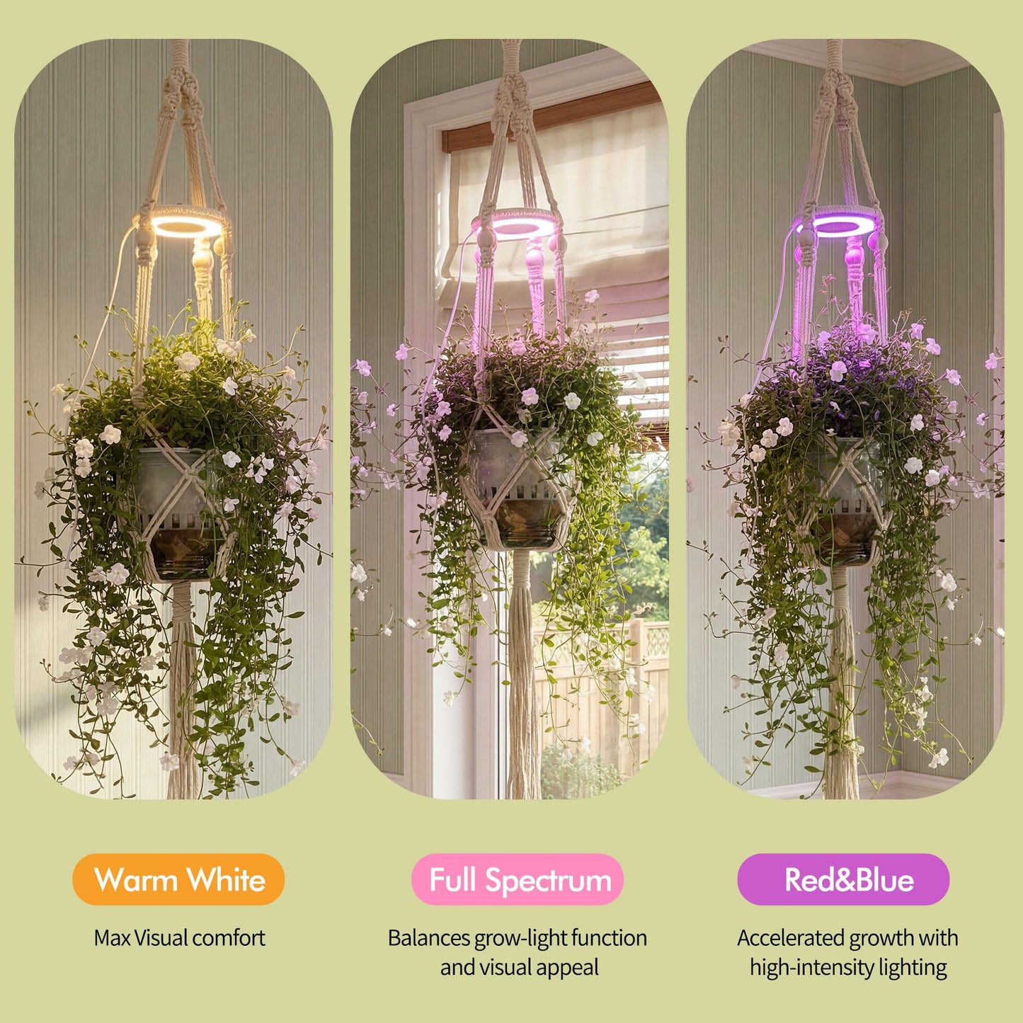Lazukes Hanging Plant Grow Lights for Indoor Plants with Timer, Wall Mounted Full Spectrum Pendant Growing Light with Macrame Plant Hanger, Ceiling LED Planta Luz for Potted Plants Home Decor