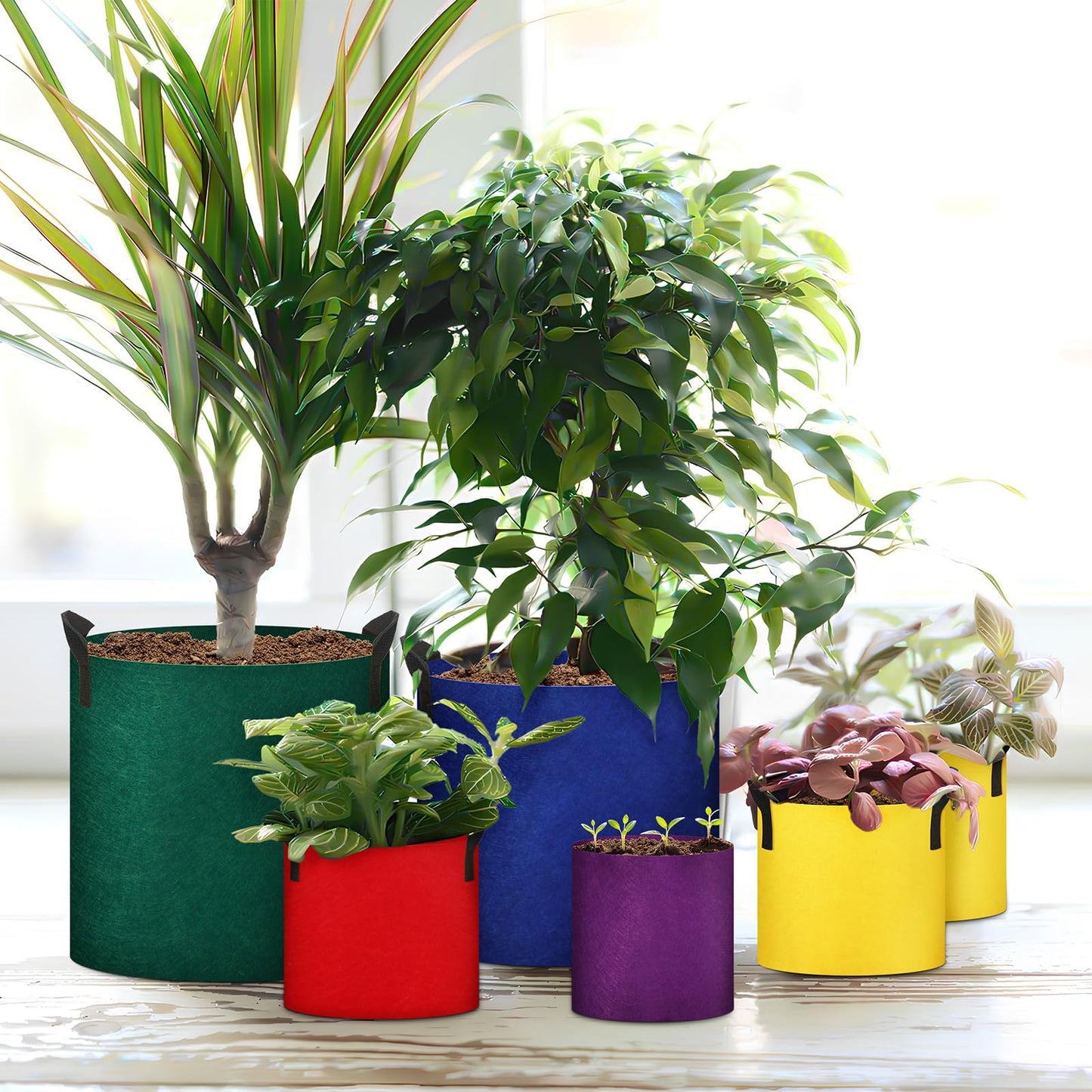 FillTouch 12 Pcs Colorful Plant Grow Bags Non Woven Fabric Pots with Handles 10 7 5 3 2 1 Gallon Garden Planting Bag for Vegetables Flowers