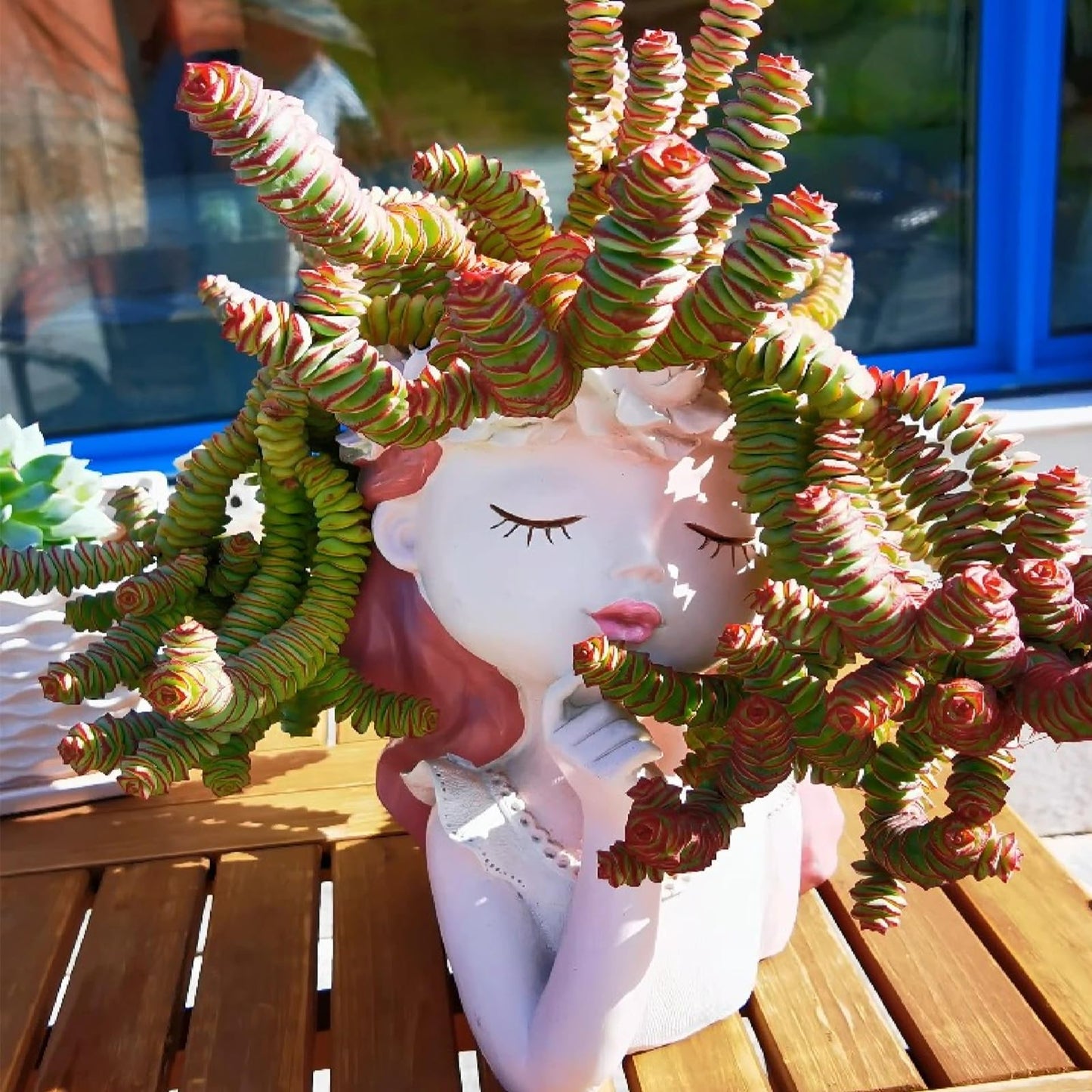 Sprout N Green 4" String of Buttons, Live Crassula 'Baby's Necklace' Trailing Succulent Rooted in Pot, Houseplant for Home Office Hanging Decoration, DIY Projects, Party Favor, Keep Away from Pets