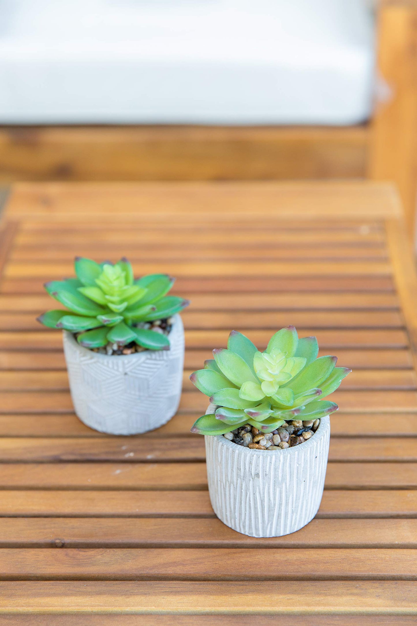 Flora Bunda Mid Century Artificial Plants Cactus Set of 2 Artificial Succulent in 3" Cement Pot Grey Planter, 2 Fake Potted Plants, for Home Office Decorations