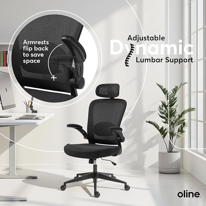 Oline ErgoAir Ergonomic Office Chair – Adjustable Lumbar Support, Flip-Up