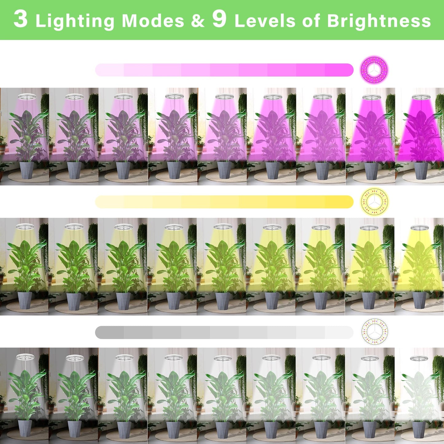 WEEAEEW Grow Light for Indoor Plants with Tripod Stand, Full Spectrum Plant Lamp 61" Tall Halo Grow Lights for Plant with Automatic Timer, 72 LEDs Plant Light Height and Brightness Adjustable