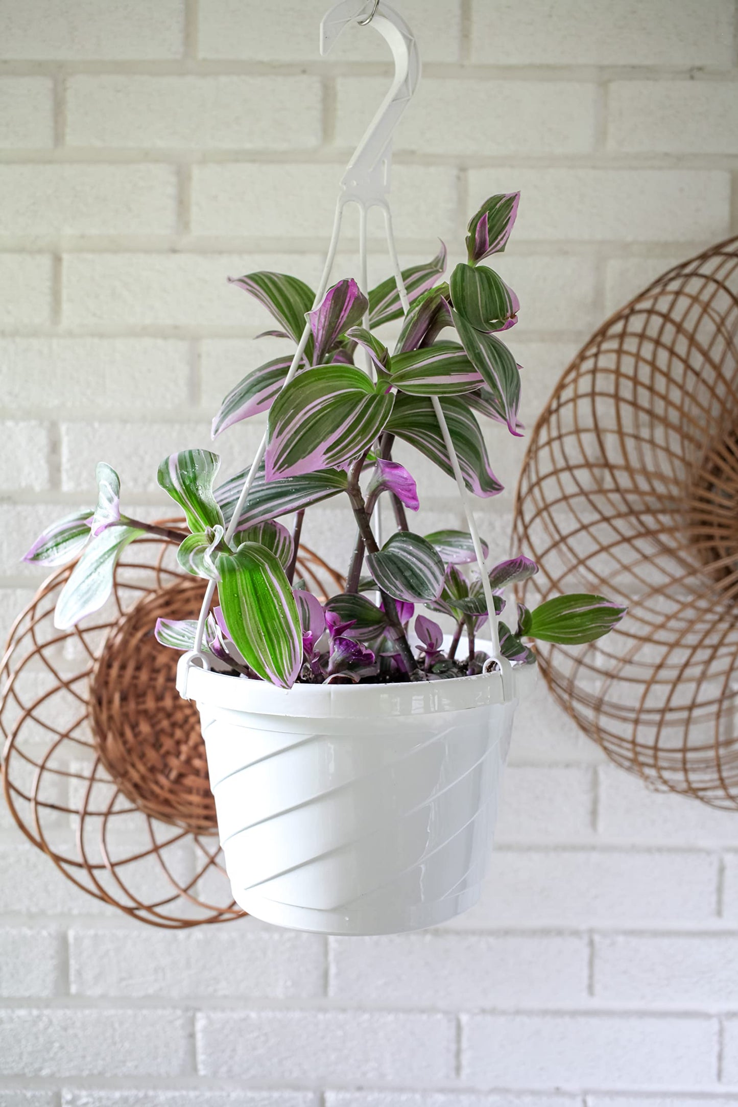 The HC Companies Euro Hanging Basket Planter Decorative 12-Inch Large Plastic Hanging Basket w/Swirl Design for Outdoor Plants, Clay (Pack of 2)