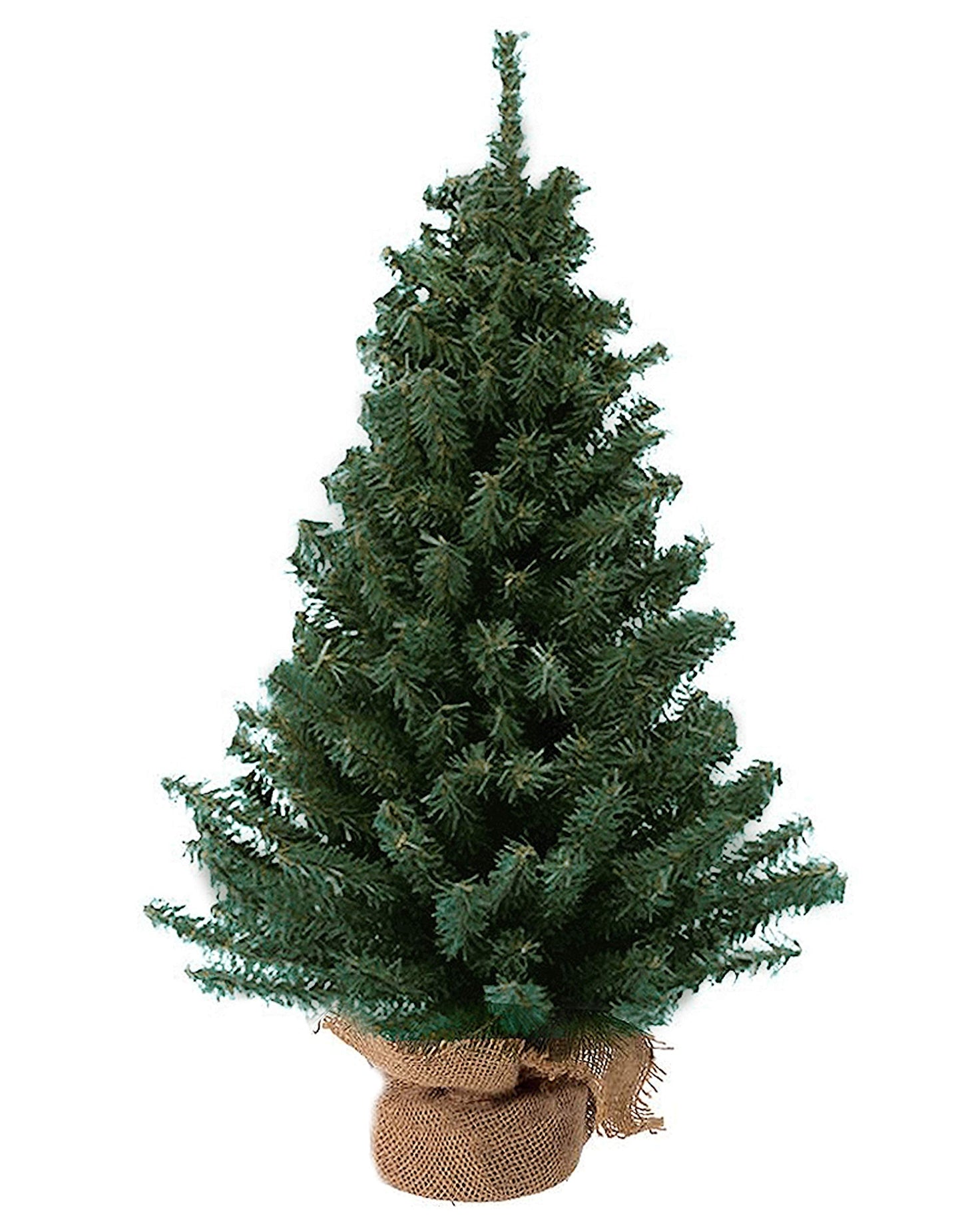 Kurt Adler TR2044 18" Mini Pine Tree