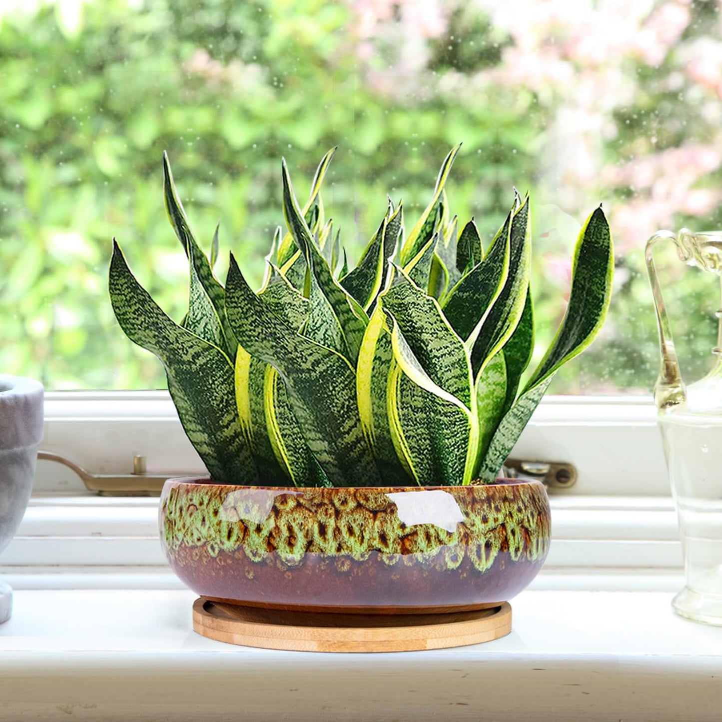ARTKETTY Succulent Pots - 7.5 Inch Large Plant Pot with Bamboo Tray, Shallow Bonsai Pots with Drainage, Ceramic Planter for Indoor Plants, Cactus, Home Office Desk Decor