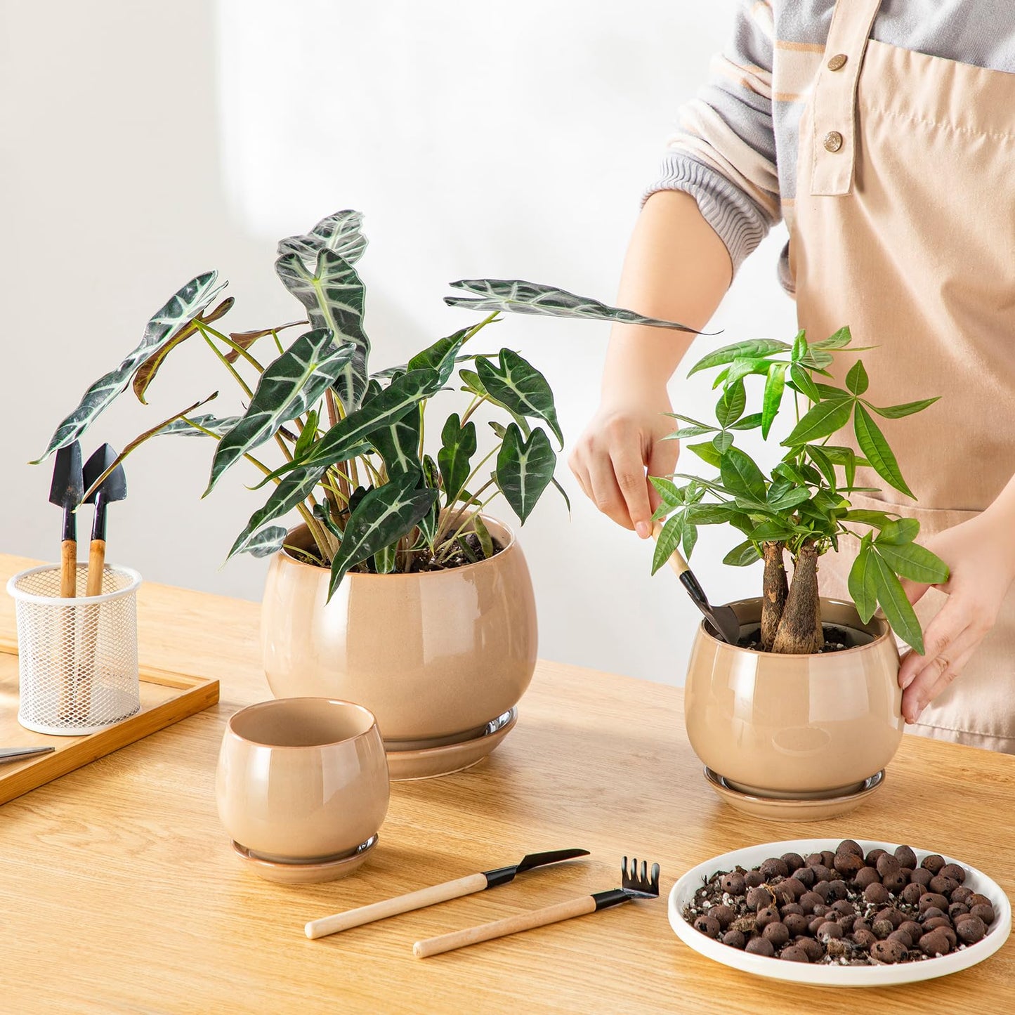 vancasso 3-Pack Ceramic Plant Pots, 3.7/4.8/6.2 Inch Indoor Planters with Saucers & Drainage Hole Planter pots for Indoor Plants and Flower, Brown