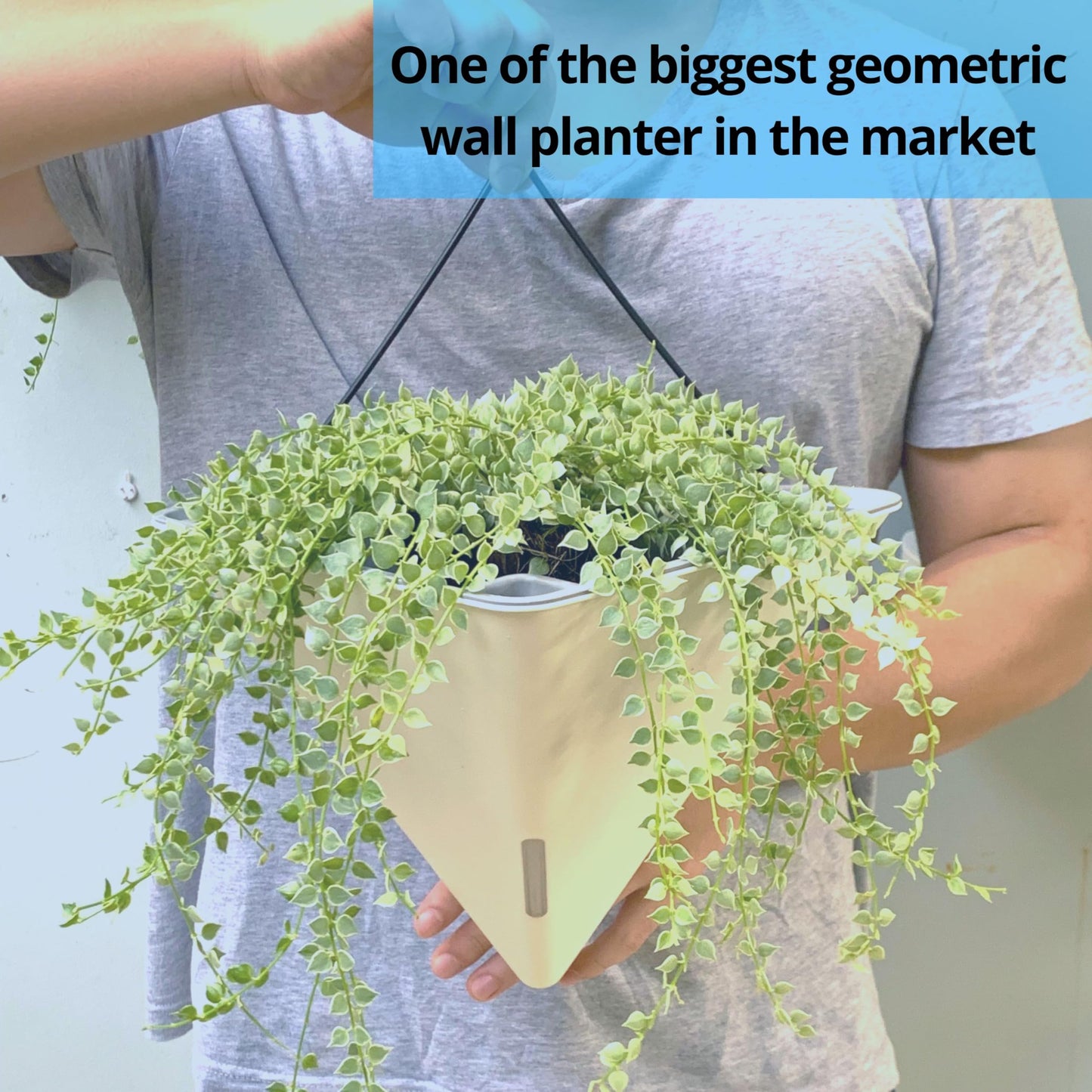LaLaGreen Wall Planters for Indoor Plants - 4 Pack, 12 Inch Large Self Watering White Geometric Hanging Flower Vase Vessel with Metal Hanger, Modern Stylish Wall Mounted Succulent Pot Holder Decor