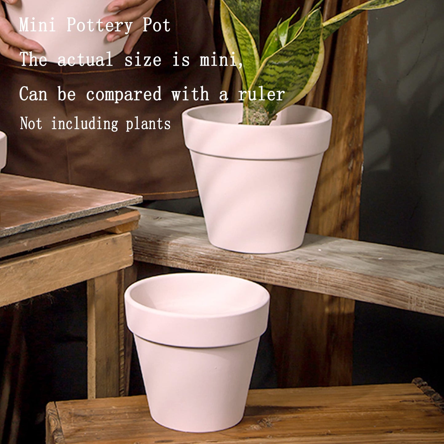 XXYXXY 20 Pieces 2.95 inch White Terra Cotta Pots Mini with Drain Holes Juicy flowerpots Home Office, windowsill, Wedding Decoration flowerpots（White） ﻿