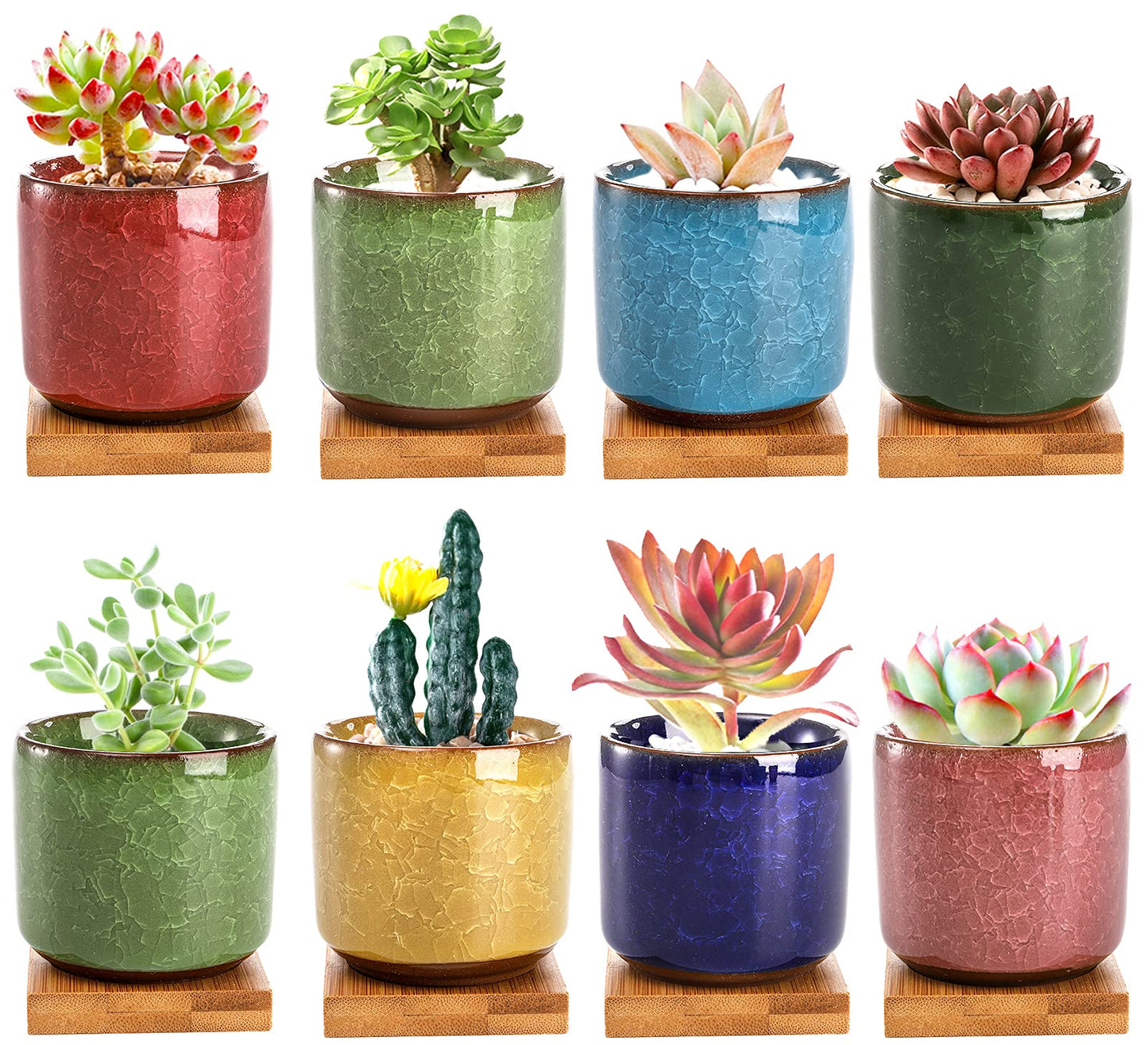 Lawei 8 Pack 2.5 Inch Mini Succulent Plant Pot with Drainage and Bamboo Tray, Small Ceramic Cactus Plant Pot, Flower Pots Faux Plants Containers for Home Garden Office Decoration(Plants NOT Included)