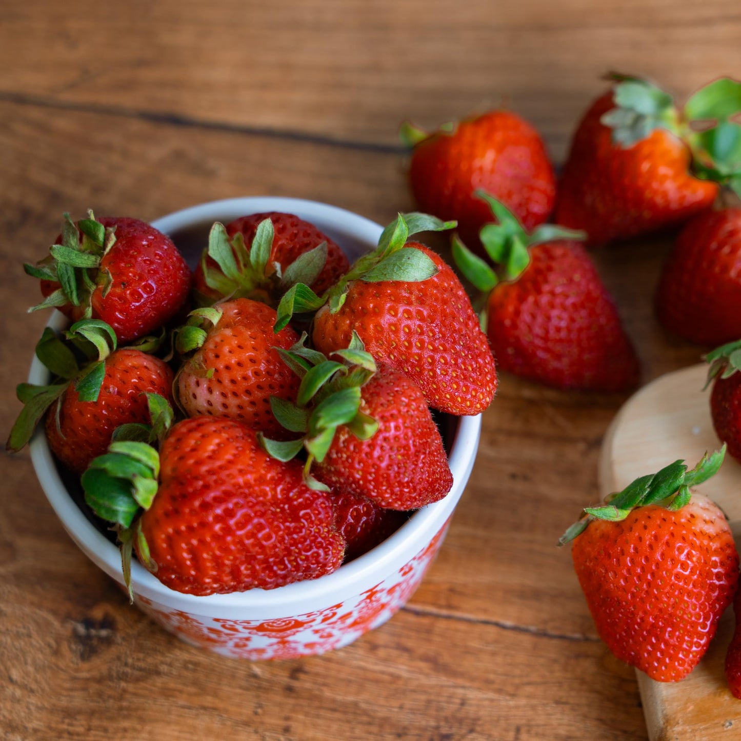 Perfect Plants Albion Everbearing Strawberry 1 Gallon | Live Fruit Bush for Bushels of Sweet Berries