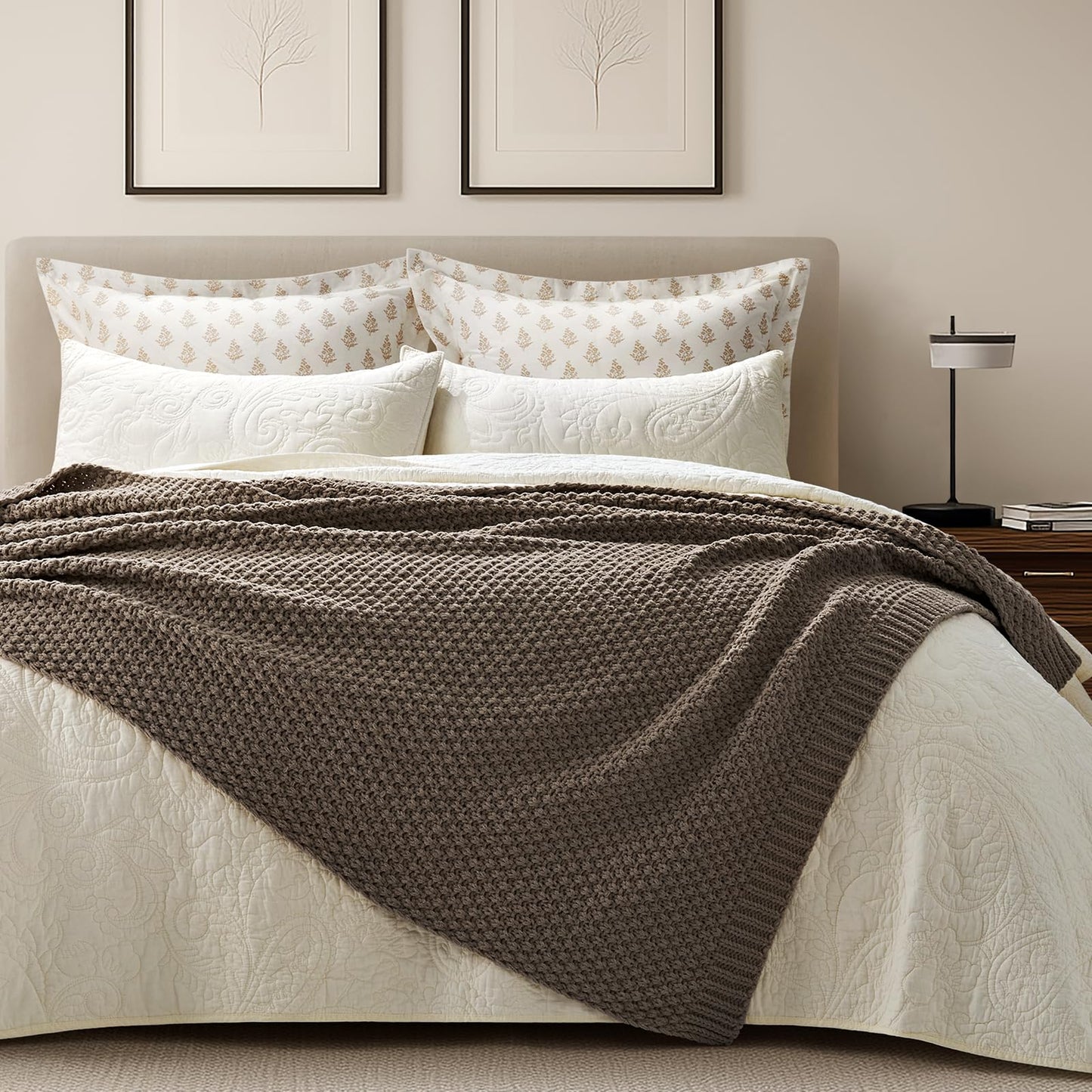 EVERGRACEHOME Chunky Chenille Knit Throw Blanket for Couch, Soft Luxurious Moss Stitch Blankets for Bed, Cozy Decorative Farmhouse Knitted Throws for Sofa, Mocha Brown, 50" x 60"