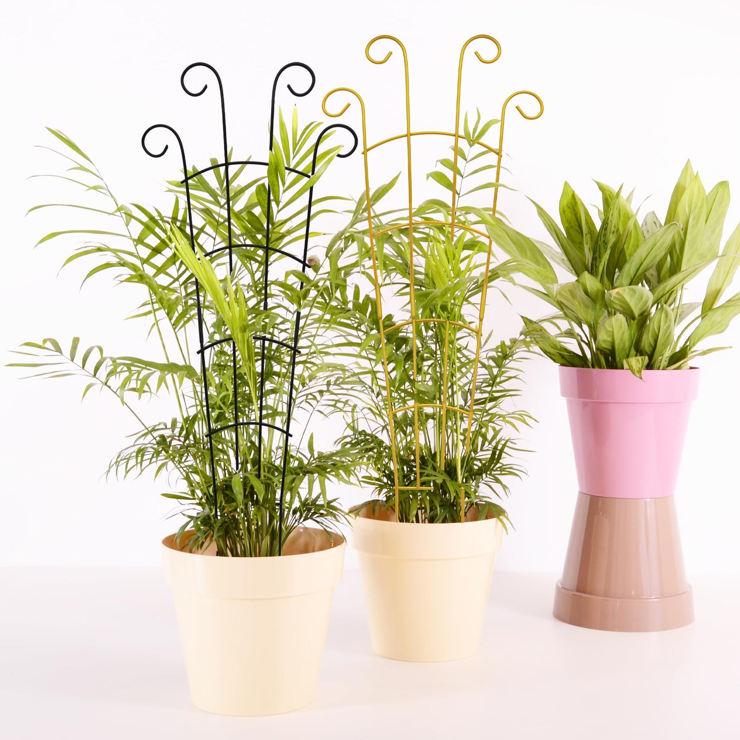 Plant Trellis Indoor 3 Pack 30 Inch Trellis for Climbing Plants Indoor Trellis for Potted Plant Support for Hoya Vines Ivy(Gold, 30 inch)