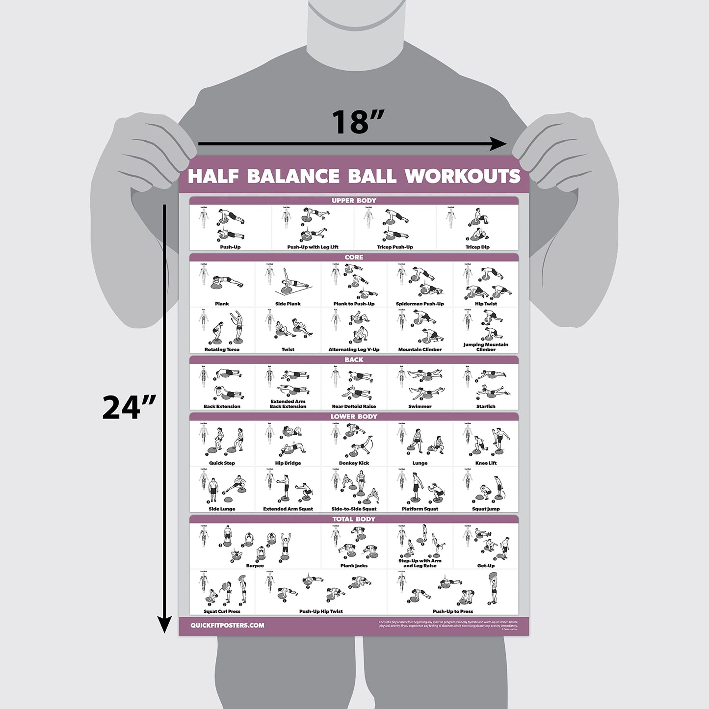 Palace Learning 2 Pack, Half Balance Ball Workout Poster + Yoga Ball Exercise Chart - Set of 2 Workout Posters (LAMINATED, 18" x 24")