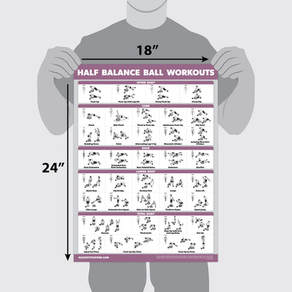 Palace Learning 2 Pack, Half Balance Ball Workout Poster + Yoga Ball Exercise Chart - Set of 2 Workout Posters (LAMINATED, 18" x 24")