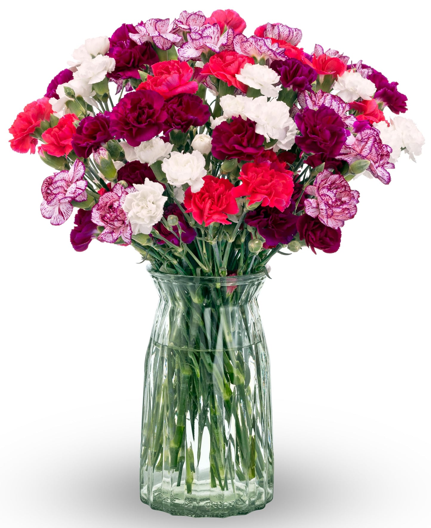 Benchmark Bouquets - Spring Mini Carnations - Fresh Flowers for Delivery - Mini Flowers for Mom - Mothers Day Gifts - Mothers Day Flowers - Floral Arrangements - Glass Vase Included (20 Stems)