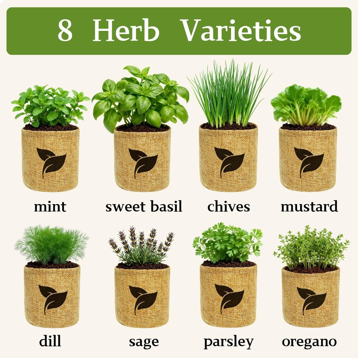 Indoor Herb Garden Start Kit - Unique Gifts for Women, Mothers Day Gifts, Easy House Plant- Birthday for Women,House Warming Gift New Home- Fresh Herb Garden DIY Crafts for Adults