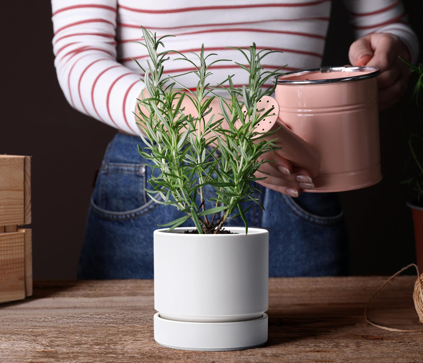 6 Inch Modern Plastic Round Pots for Indoor Houseplants and Herbs, Pack of 3 Planter Pot with Drainage Hole & Saucer, Deep Water Catch Tray, Straight Cylindrical Pot for Plants, Matte White, 23-D-S-1