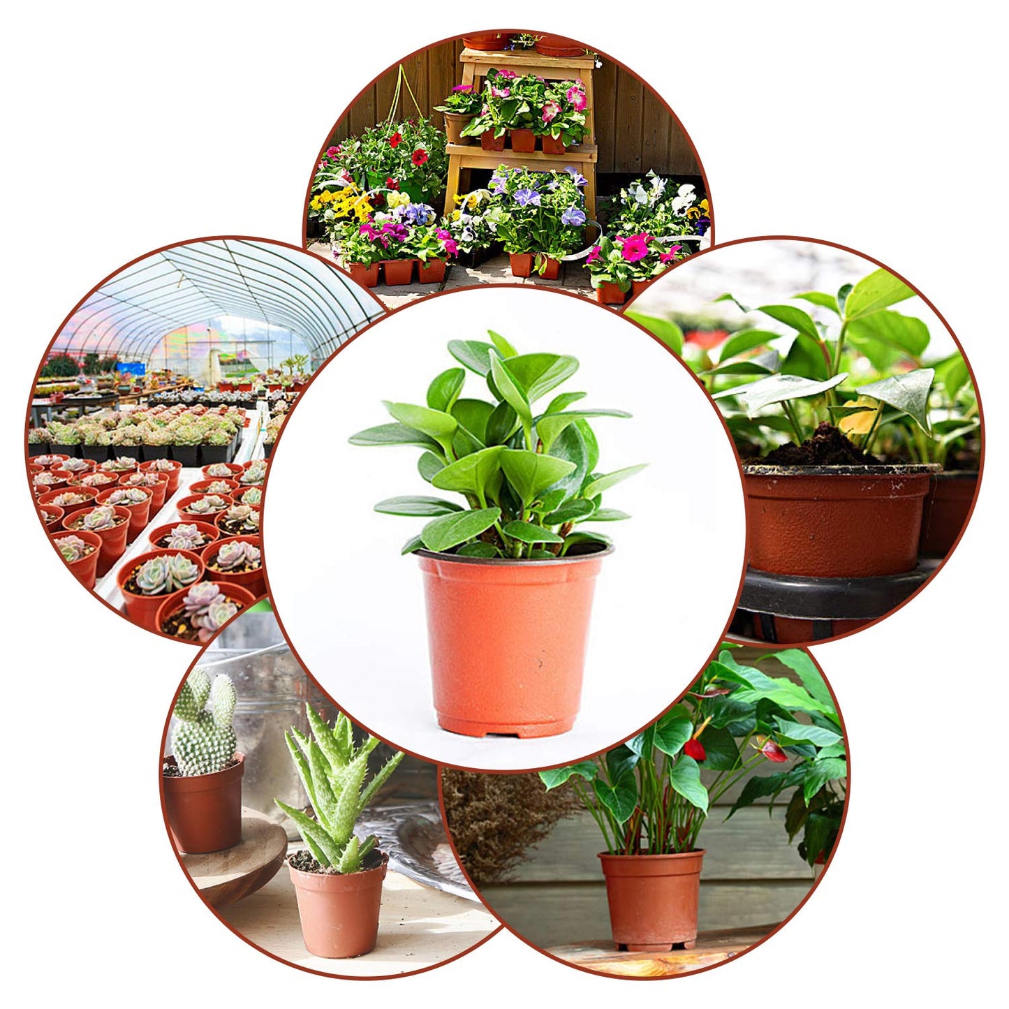 Augshy 130 Packs 6 Inches Plastic Plant Nursery Pots, Seed Starting Pot Flower Container for Succulents, Seedlings, Cuttings, Transplanting, Planter Home Docer