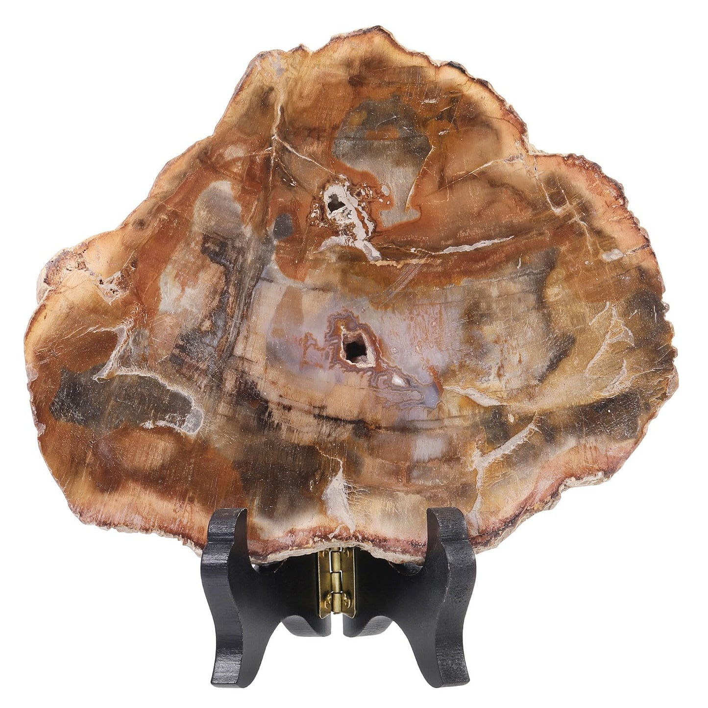 moonsix Irregular Petrified Wood Slab with Wooden Stand, Natural Mineral Stone Specimen Display for Feng Shui Decor Collection