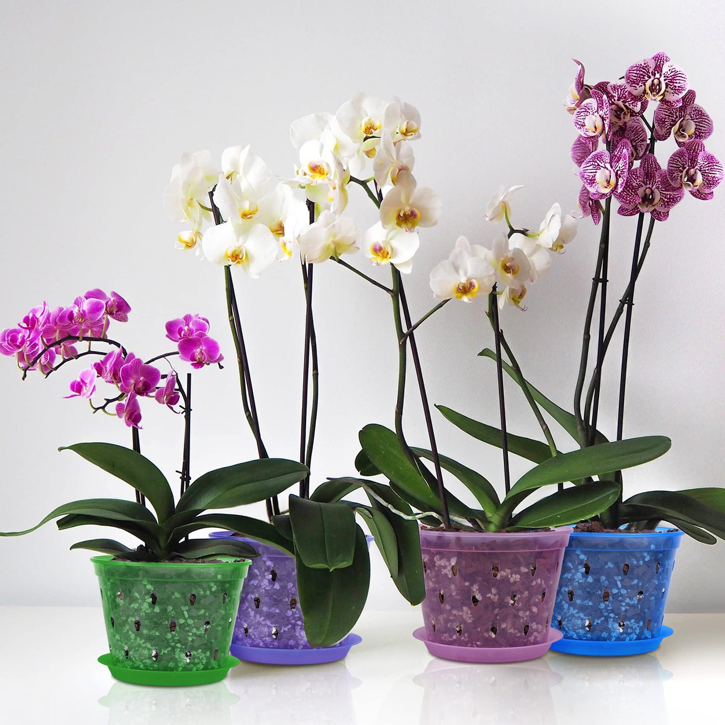 lanccona Orchid Pot, 6.7 Inch 8 Pack Orchid Pots with Holes and Saucers,Plastic Orchid Planter - Purple Amethyst