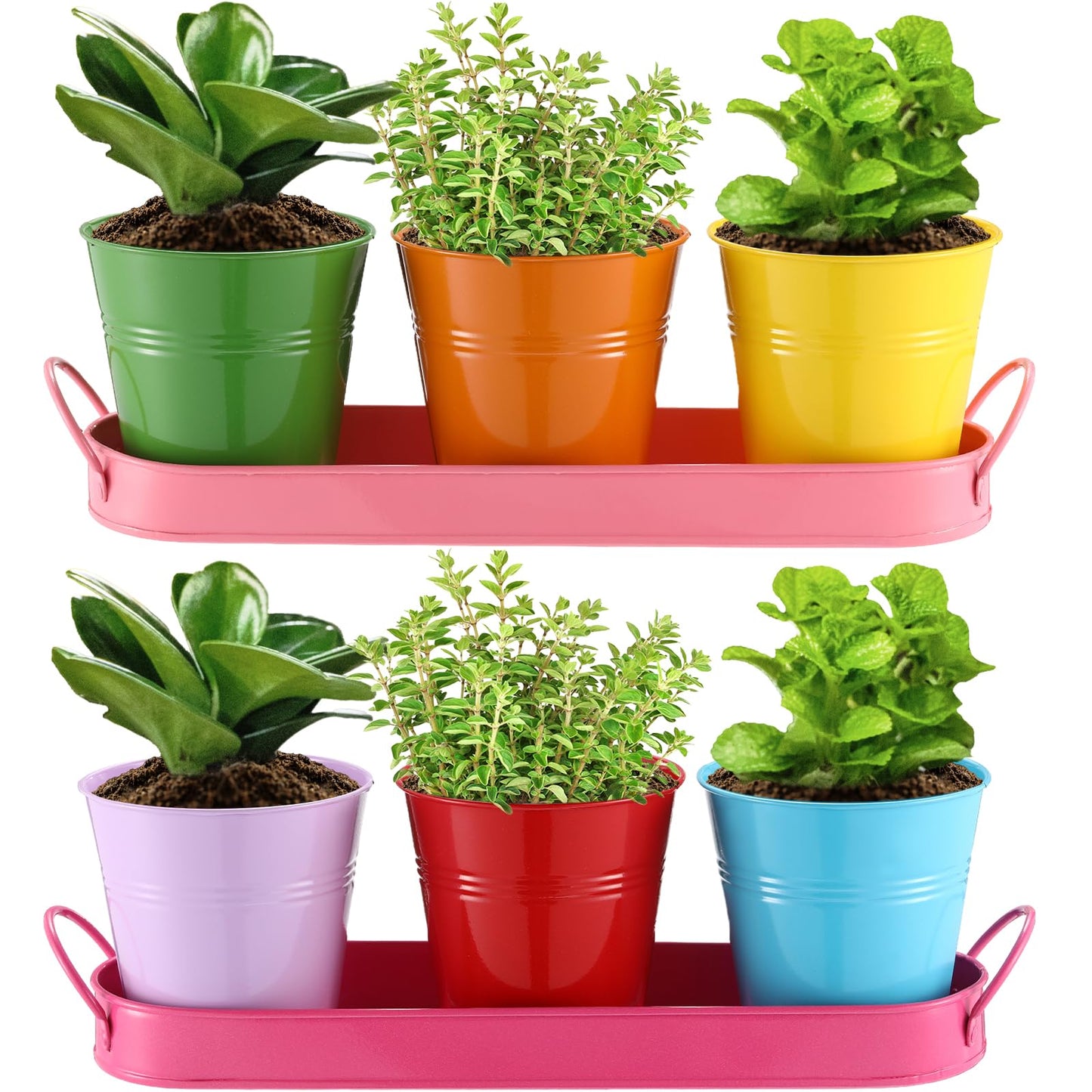 Hicarer 2 Sets Herb Planter with Tray Metal Herb Garden Planter with Drainage Farmhouse Windowsill Pots for Indoor Plants Flower Succulent Outdoor Kitchen Apartment Balcony Window (Mixed Color)